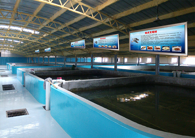 1694596456854461.jpg 1694596456854461.jpg