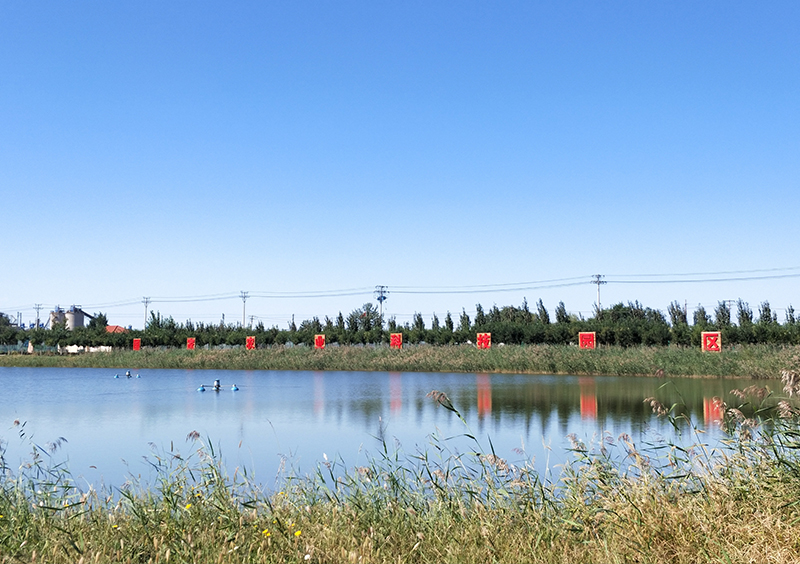 1694596567469881.jpg 1694596567469881.jpg