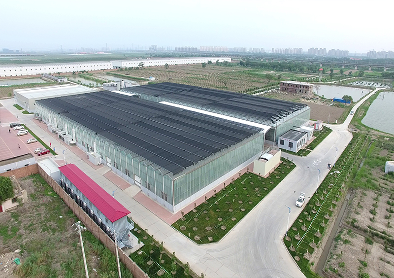 1694597218384738.jpg 1694597218384738.jpg